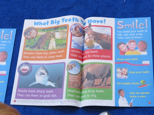 Elephant toothpaste by Teach Preschool 
