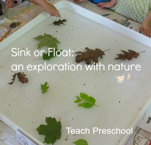 Sink Or Float An Exploration With Nature Teach Preschool