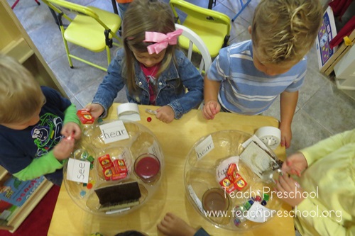 Five senses discover and explore kit by Teach Preschool 