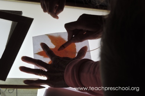 Fall leaves at the light table by Teach Preschool 